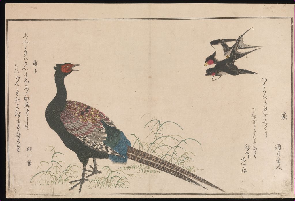 Long-tailed bird and flying birds in Momo chidori kyōka-awase