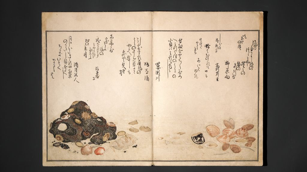 Gifts of the Ebb Tide