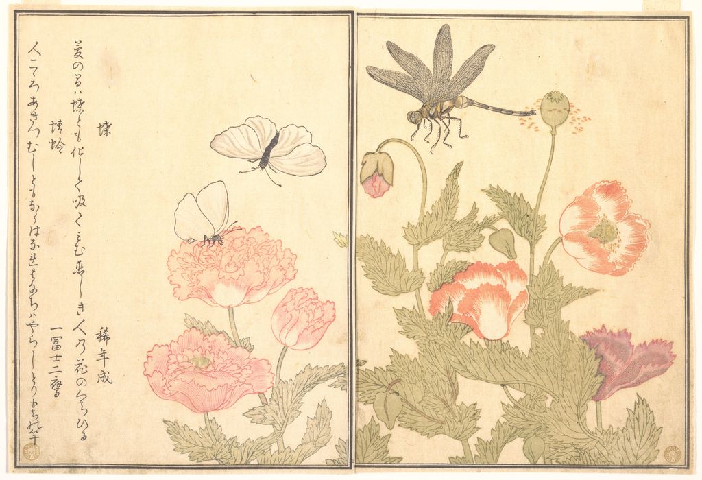 『画本虫撰』の蝶と蜻蛉
