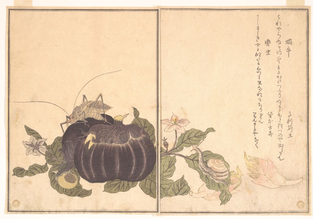『画本虫撰』の蝸牛と轡虫